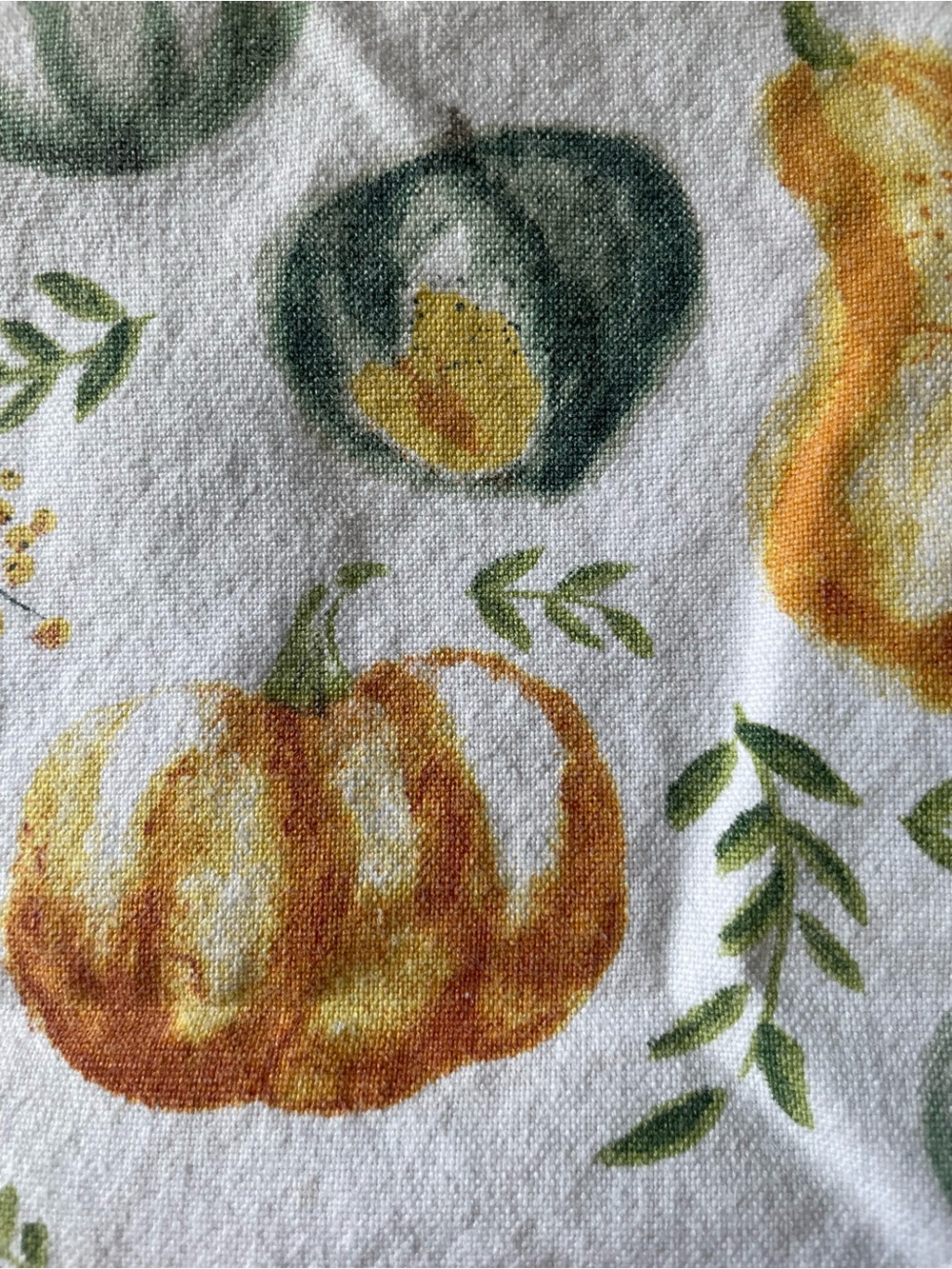 Autumn Harvest Pumpkin Cotton Kitchen Towel - Picture 2 of 13